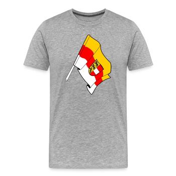 Drapeau de Kärnten - T-shirt bio Premium Homme - gris chiné - Devant - Damien (186cm)