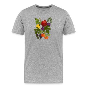Mediterranean Autumn - Men's Premium Organic T-Shirt - heather grey - Front - Damien (186cm)