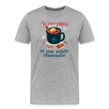 La vérité réside dans le vin, dans le vin chaud... - T-shirt bio Premium Homme - gris chiné - Devant - Damien (186cm)