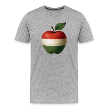Hongrie - T-shirt bio Premium Homme - gris chiné - Devant - Damien (186cm)