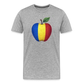 Roumanie - T-shirt bio Premium Homme - gris chiné - Devant - Damien (186cm)