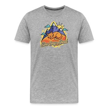 Schlafende Katze über Bergen - Männer Premium Bio T-Shirt - Grau meliert - Vorne - Damien (186cm)