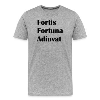 Fortis Fortuna Adiuvat - Männer Premium Bio T-Shirt - Grau meliert - Vorne - Damien (186cm)