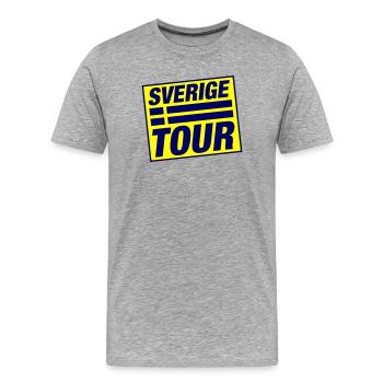 Drapeau du circuit de Suède - T-shirt bio Premium Homme - gris chiné - Devant - Damien (186cm)