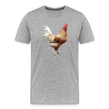 Coq - T-shirt bio Premium Homme - gris chiné - Devant - Damien (186cm)