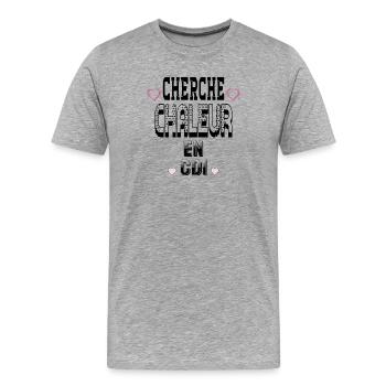 Cherche Chaleur en CDI - T-shirt bio Premium Homme - gris chiné - Devant - Damien (186cm)