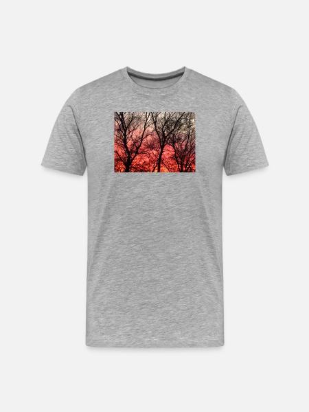 Abendrot_1 - T-shirt bio Premium Homme - gris chiné
