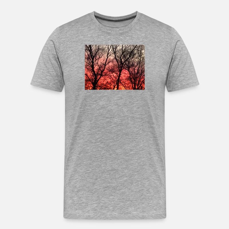 Abendrot_1 - Männer Premium Bio T-Shirt - Grau meliert