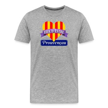 Provinz-Fier - Männer Premium Bio T-Shirt - Grau meliert - Vorne - Damien (186cm)