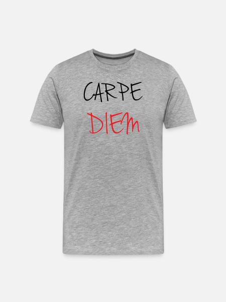 carpe_diem_nhy_5 - Men's Premium Organic T-Shirt - heather grey
