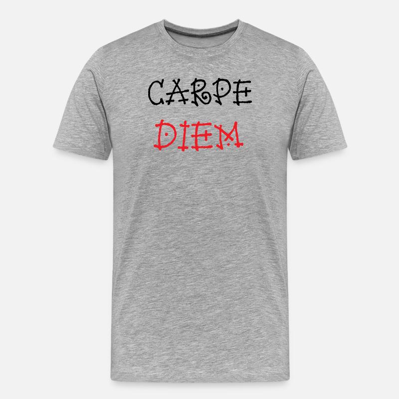 Carpe Diem – Epikureer - Männer Premium Bio T-Shirt - Grau meliert