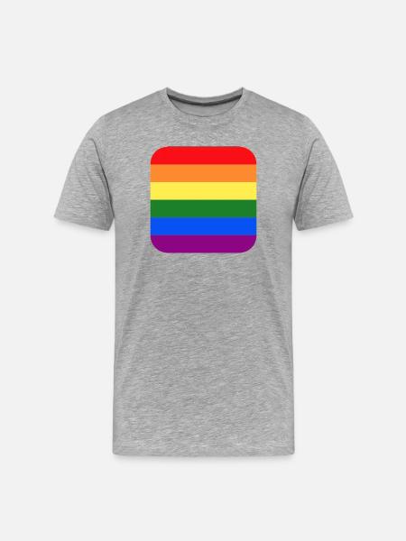 LGBTIQ-Regenbogensymbol – LGBT-Geschichtsmonat - Männer Premium Bio T-Shirt - Grau meliert