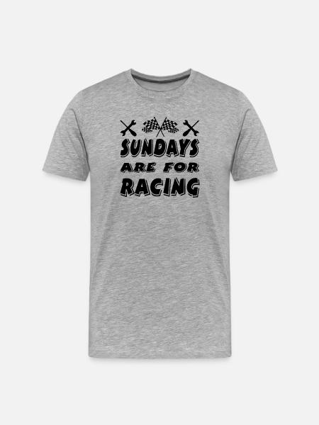 Auto - Männer Premium Bio T-Shirt - Grau meliert