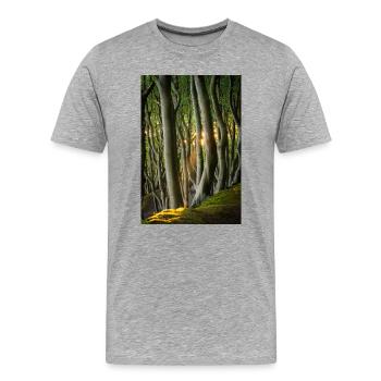 Arbres Lumière du Soleil - T-shirt bio Premium Homme - gris chiné - Devant - Damien (186cm)