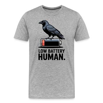 Raven über niedrige Batterie - Männer Premium Bio T-Shirt - Grau meliert - Vorne - Damien (186cm)