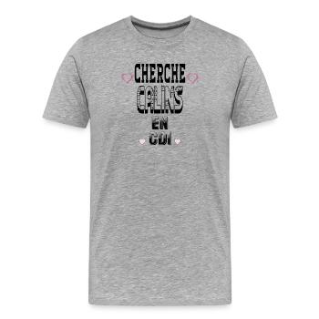 Cherche Câlins en CDI - T-shirt bio Premium Homme - gris chiné - Devant - Damien (186cm)