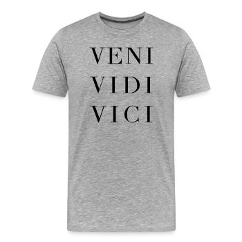 Veni Vidi Vici - Männer Premium Bio T-Shirt - Grau meliert - Vorne - Damien (186cm)
