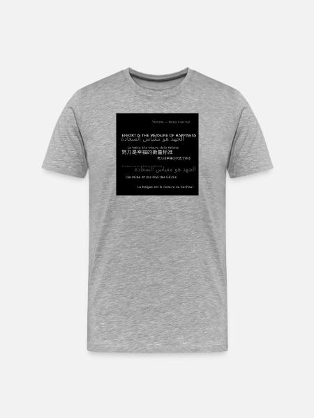 Hoodie_back_3 - Männer Premium Bio T-Shirt - Grau meliert