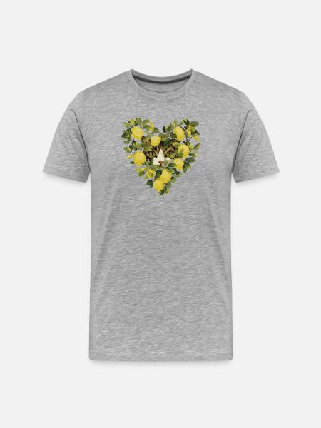 Cat hides in a lemon heart - Men's Premium Organic T-Shirt - heather grey