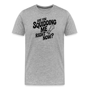 Tu es en train de me faire un calamar là ? - T-shirt bio Premium Homme - gris chiné - Devant - Damien (186cm)
