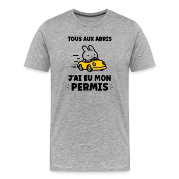 Humor Ich habe meinen Führerschein - Männer Premium Bio T-Shirt - Grau meliert - Vorne - Damien (186cm)