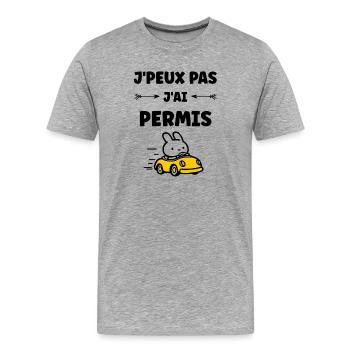 Humour j'ai mon permis de conduire - T-shirt bio Premium Homme - gris chiné - Devant - Damien (186cm)