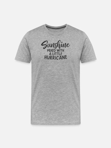 Sunshine Mixed With a Little Hurricane - Men's Premium Organic T-Shirt - heather grey