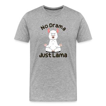 Pas de drame. Juste Lama - T-shirt bio Premium Homme - gris chiné - Devant - Damien (186cm)