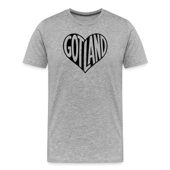 Gotland, Suède, dans la Fontaine du Cœur - T-shirt bio Premium Homme - gris chiné - Devant - Damien (186cm)