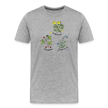 Naturkräuter - Männer Premium Bio T-Shirt - Grau meliert - Vorne - Damien (186cm)