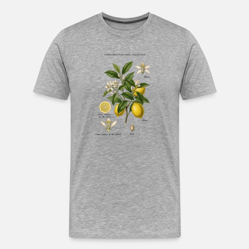 Ramo botanico vintage Lemon Tree - Maglietta ecologica premium da uomo - grigio melange