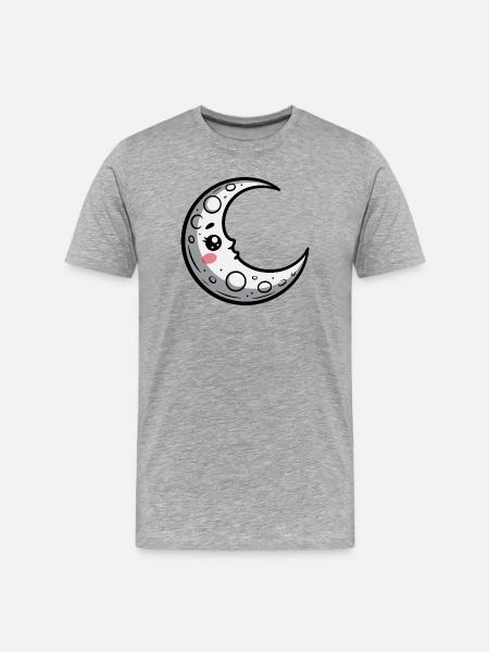 Mond - Männer Premium Bio T-Shirt - Grau meliert