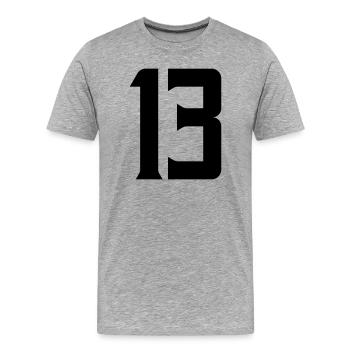 13 - Männer Premium Bio T-Shirt - Grau meliert - Vorne - Damien (186cm)