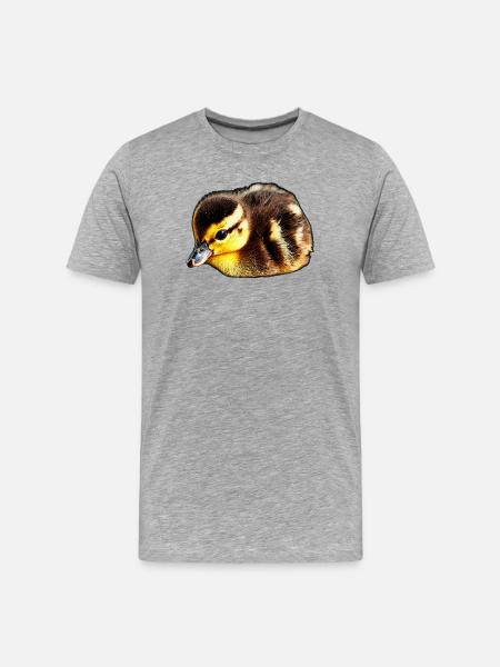 Ducks, Chicks, Birds - Men's Premium Organic T-Shirt - heather grey