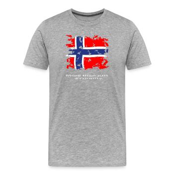 Norway flag vintage - Men's Premium Organic T-Shirt - heather grey - Front - Damien (186cm)