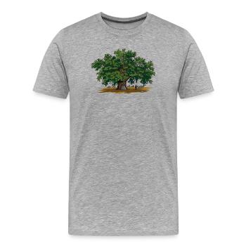 Eiche - Männer Premium Bio T-Shirt - Grau meliert - Vorne - Damien (186cm)