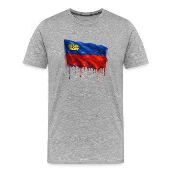 Couleurs colorées du drapeau du Liechtenstein - T-shirt bio Premium Homme - gris chiné - Devant - Damien (186cm)
