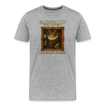 Formé classiquement Jugement perpétuel Renaissanc - T-shirt bio Premium Homme - gris chiné - Devant - Damien (186cm)