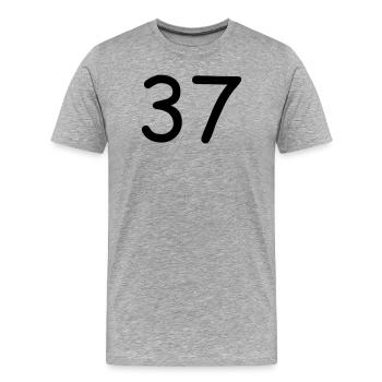 37 - Männer Premium Bio T-Shirt - Grau meliert - Vorne - Damien (186cm)