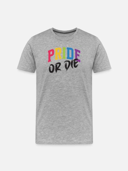 LGBT-Pride-Monat – Pride or Die - Männer Premium Bio T-Shirt - Grau meliert