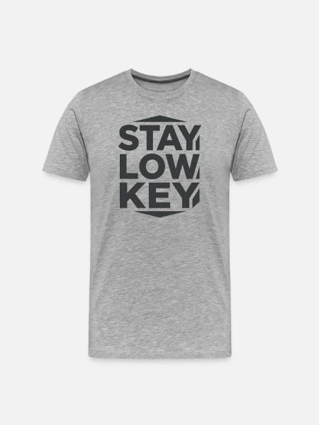 Stay Low Key – ruhige Wohnästhetik - Männer Premium Bio T-Shirt - Grau meliert