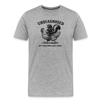 Not diagnosed, but something is wrong - Men's Premium Organic T-Shirt - heather grey - Front - Damien (186cm)