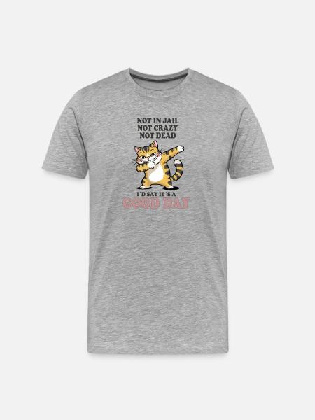 Not in Jail Not Crazy Not Dead Good Day - Men's Premium Organic T-Shirt - heather grey