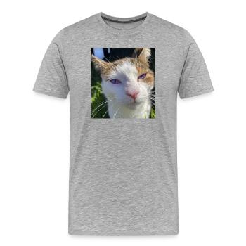 Cat portrait with purple eyes - Men's Premium Organic T-Shirt - heather grey - Front - Damien (186cm)