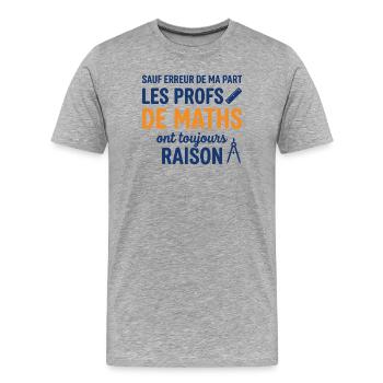 Profs de Maths Ont Toujours Raison - T-shirt bio Premium Homme - gris chiné - Devant - Damien (186cm)