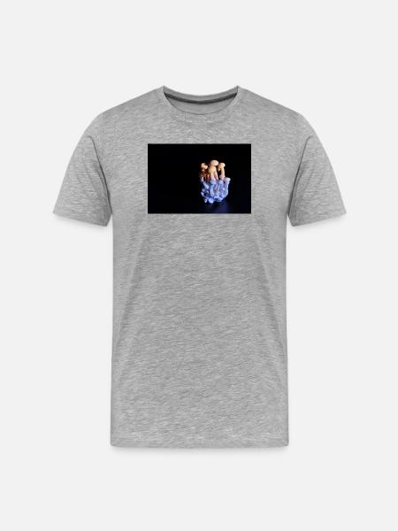 Luminous Mushroom Cluster Neon Glow - Men's Premium Organic T-Shirt - heather grey