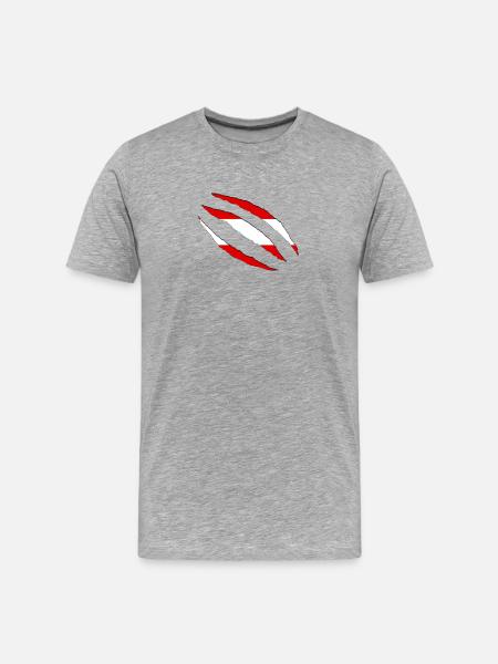 Griffes d’Autriche fissure drapeau déchiré - T-shirt bio Premium Homme - gris chiné