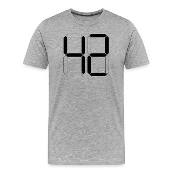NUMMER 42 Zweiundvierzig Geschenk Digital - Männer Premium Bio T-Shirt - Grau meliert - Vorne - Damien (186cm)