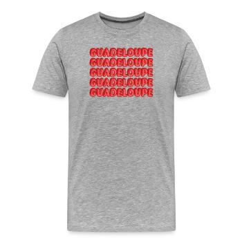 Guadeloupe - Männer Premium Bio T-Shirt - Grau meliert - Vorne - Damien (186cm)