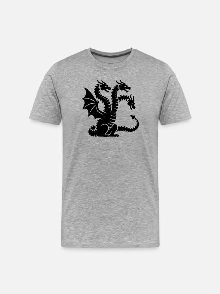 dragon - T-shirt bio Premium Homme - gris chiné
